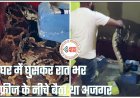 CG Python VIDEO: रात भर फ्रिज के नीचे दुबका रहा विशाल अजगर... सुबह घर वालों ने देखा तो उड़े होश... कुछ ऐसे हुआ रेस्क्यू... देखें वीडियो.....