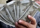 EMPLOYEMENT SALARY HIKE : चुनाव से पहले कर्मचारियों को तोहफा, इतने प्रतिशत होगी वेतन वृद्धि
