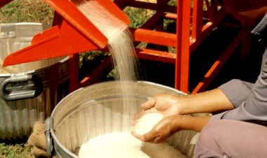 CG ब्रेकिंग: ब्लैक लिस्टेड हुए 11 राइस मिल... धान का उठाव नहीं करने पर प्रशासन ने की कार्रवाई... देखें लिस्ट.....
