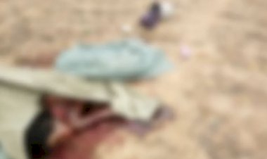 CG हत्या ब्रेकिंग :-तालाब में नहाने गई बच्ची का गला रेत कर हत्या...ग्रामीणों ने दस साल की मासूम के हत्यारे को पीट-पीट कर मार डाला...जाँच में जुटी पुलिस