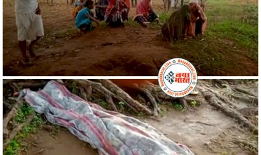 CG ब्रेकिंग: खराब मौसम ने बरपाया कहर: आकाशीय बिजली गिरने से 2 की दर्दनाक मौत… मृतकों में 13 वर्षीय 2 बच्चे शामिल... आम बीनकर छुपे थे पेड़ के नीचे... परिजनों का रो-रोकर बुरा हाल......