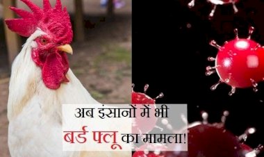 पहली बार H10N3 बर्ड फ्लू से संक्रमित हुआ इंसान.... वायरस की चपेट में आया 41 साल का शख्स.... आप भी जान लें इसके लक्षण.....