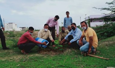 रावणा राजपूत समाज ने हाइफा हीरो भवन पर  बड़-पीपल सहित 21 पौधे लगाकर मनाया विश्व पर्यावरण दिवस