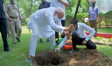 BIG NEWS: छत्तीसगढ़ सरकार की नई योजना….पेड़ लगाओ और पैसे कमाओ….वृक्षारोपण करने वालों को तीन साल तक मिलेगी प्रति एकड़ के हिसाब से इतने हज़ार की प्रोत्साहन राशि…..