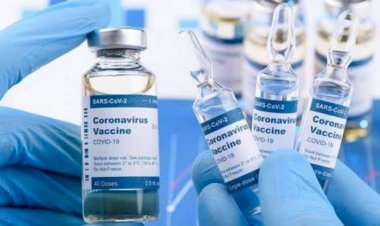 ब्रेकिंग: फ्री वैक्सीनेशन की घोषणा पर बोले CM भूपेश, देरी से लिया गया निर्णय, इसे बताया सबसे बड़ी चुनौती... वहीं पूर्व मंत्री बोले, युवाओं के जिंदगी से खिलवाड़ कर रही थी भूपेश सरकार, छत्तीसगढ़ पहला ऐसा अजूबा राज्य.......