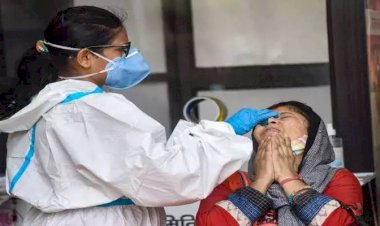 कोरोना की पहचान: वैज्ञानिकों ने बनाया कोरोना अलार्म.... शरीर की गंध सूंघकर चलेगा पता.... मिनटों में होगी कोरोना संक्रमितों की पहचान.... जानें इस खास अलार्म के बारे में......