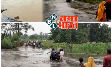 रायगढ़/ छत्तीसगढ़ के सबसे लंबे पुल की एप्रोच सड़क पर 6 फीट तक के लंबे गड्ढे! रायगढ़ विधायक के गृह ग्राम क्षेत्र से जुड़ा मामला! भाजपाइयों ने गड्डो पर बेशरम का पेड़ लगाकर किया प्रदर्शन पढ़ें पूरी खबर..