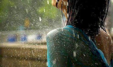 CG बारिश अलर्ट: इन जिलों में भारी बारिश और आकाशीय बिजली गिरने की संभावना.... मौसम विभाग ने जारी की चेतावनी.... देखें कहां कैसा रहेगा मौसम.....