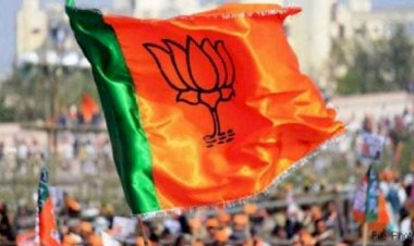 पूर्व सांसद का निधन :- बीजेपी के पूर्व सांसद का लंबी बीमारी के बाद निधन….विधायक पर जूता चलाकर सुर्ख़ियों में आए थे..भाजपा ने जताया शोक….