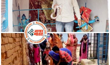 CG VIDEO ब्रेकिंग: मंदिर में दर्शन करने पहुंचे नाग देवता.... बस्ती वाले ने किया पूजा पाठ.... फिर हुआ ये.... देखें पूरा VIDEO......