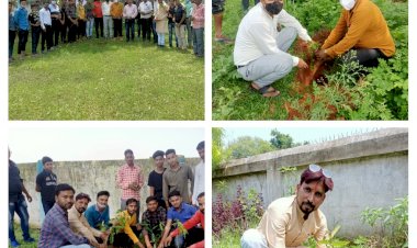 *युवा मोर्चा भैयाथान के द्वारा आज किया गया वृक्षारोपण...*