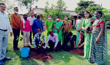 उच्चतार माध्यमिक विद्यायल में किया गया काजू, बादाम,आम, नींबू,अशोक, पीपल,नीम, फलदार एवं छायदार वृक्षारोपण....वातावरण को संतुलित बनाने के लिए वृक्षारोपण जरूरी...
