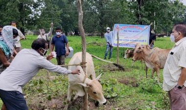 संवेदनशील गांव गौठान में भी रोका-छेका अभियान क्रियान्वित