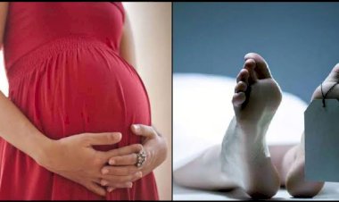 CG आत्महत्या ब्रेकिंग: पोल्ट्री फार्म में सुसाइड.... 8 महीने की गर्भवती महिला ने फांसी लगाकर की आत्महत्या.... पति व सास-ससुर गिरफ्तार.... आत्महत्या का कारण जान हो जाएंगे हैरान......