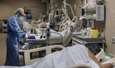 लिवर और कोरोना पर खुलासा: एक्सपर्ट्स ने चेताया.... कमजोर लिवर वालों में कोविड होने पर मौत का खतरा 30 गुना.... 7 दिन के इस डाइट प्लान से लिवर को ऐसे रखें स्वस्थ.... देखें सूची.....