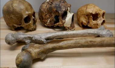 वैज्ञानिकों का खुलासा: क्लाइमेट चेंज से इंसानों की लंबाई और दिमाग पर पड़ सकता है असर.... घट सकती है लंबाई और सिकुड़ सकता है दिमाग.... इंसानों के 300 जीवाश्मों की जांच में हुआ खुलासा.... पढ़िए चौंकाने वाली रिसर्च.....