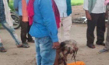 CG में बीच सड़क कत्ल: बीच सड़क पर अधेड़ की हत्या..... जमीन पर पटका और सिर पर दे मारी ईंट.... इस चक्कर में कर दिया कांड.... कारण जान हो जाएंगे हैरान.....