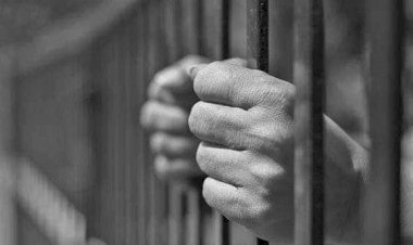 बीजेपी MLA को जेल: पत्नी को पांचवी क्लास की फर्जी मार्कशीट पर लड़ाया सरपंच चुनाव.... बीजेपी MLA की जमानत याचिका खारिज.... कोर्ट ने बीजेपी विधायक को भेजा जेल.... पार्टी में हड़कंप......