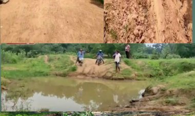 डांडगांव के महूआरी पारा में ग्रामीण सड़क बिजली जैसी मूलभूत समस्याओं से जूझ रहे हैं।