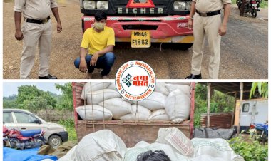 CG में 800 किलो गांजा पकड़ाया: कनकी के बोरियों के बीच छुपाकर धड़ल्ले से कर रहे थे गांजे की तस्करी.... 1 करोड़ 60 लाख का गांजा जप्त.... अंतर्राज्यीय तस्कर गिरफ्तार......
