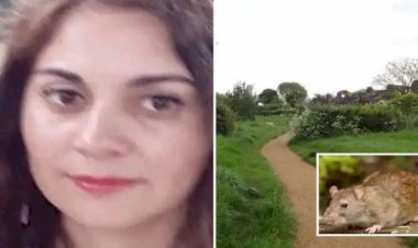 पार्क में टहल रही ब्रिटिश महिला पर 100 से अधिक चूहों ने बोला हमला, कुतर दिए हाथ-पैर; दहशत में आए लोग