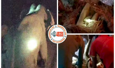 बिग CG न्यूज: हाथी के हमले से 2 मौत:ग्रामीणों पर हाथी का हमला, 2 को कुचलकर मार डाला… गुस्साए जंगली हाथी ने सूंड से उठाकर पटका…फिर जो हुआ,4 ने ऐसे भाग कर बचाई जान….