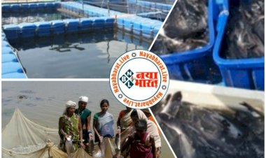भूपेश सरकार का बड़ा फैसला: छत्तीसगढ़ में मछलीपालन के लिए भी कृषि जैसे ही मिलेगी सस्ती बिजली और बिना ब्याज के ऋण की सुविधा.... दो लाख से अधिक मत्स्य कृषकों और मछुआरों को मिलेंगी ये सहूलियतें....…….