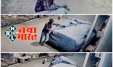 VIDEO एक चोर जो चुराता है गाड़ियों के कवर: गाड़ियों के कवर चुराने वाले चोर का वीडियो वायरल.... पहचान करने वाले को मिलेगा इनाम.... देखें VIDEO.....
