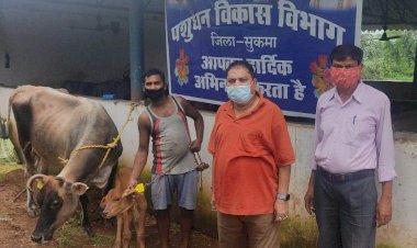 कृत्रिम गर्भाधान से लाभान्वित हो रहे पशुपालक..दुग्ध उत्पादन के क्षेत्र को मिलेगी प्रोत्साहन..पशु प्रजनन के क्षेत्र में क्रांति