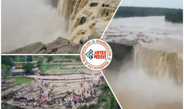 CG VIDEO में चित्रकोट की खूबसूरती: विदेशों से भी पहुंच रहे पर्यटक.... विदेशी पर्यटक बोले, अमेजिंग वाटर फॉल.... एशिया का नियाग्रा.... देखें VIDEO में विश्व प्रसिद्ध वाटर फॉल चित्रकोट का नजारा......