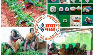 आर्थिक स्वावलम्बन का बेहतर प्लेटफॉर्म साबित हुआ गौठान, विविध उत्पादों से समूह को हो रही अप्रत्याशित आय...ग्राम छिपली के आदर्श गौठान में वर्मी के साथ सब्जी व कुक्कुट उत्पादन से लाभ अर्जित कर रहीं महिलाएं...