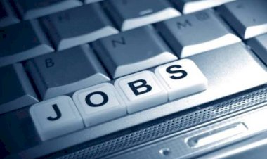 CG जॉब अलर्ट: 10वीं पास के लिए बंपर नौकरियां.... 300 पदों पर निकली भर्ती.... जानें कब और कैसे होगी भर्ती प्रक्रिया..... देखें पूरी डिटेल........