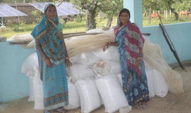 गोधन न्याय योजना से जुड़कर वर्मी कम्पोस्ट खाद बना रही ग्राम जुहली के महिलाओं के लिए यह कार्य आर्थिक रूप से लाभदायक हुआ साबित इनके द्वारा बनाये जा रहे वर्मी खाद की हो रही हाथों-हाथ बिक्री पढ़े पूरी खबर
