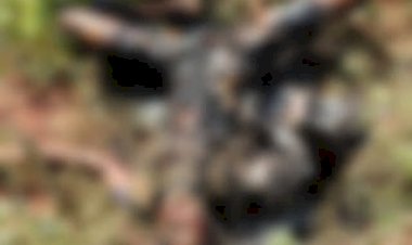 बेमेतरा जिले में एक और हत्या, नांदघाट थाना के ग्राम गनियारी में अज्ञात युवती कि जली हुई लाश मिला