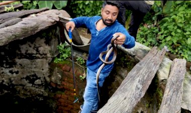CG VIDEO: कुएं में गिरा सांप.... खतरे से खेल रेस्क्यू कर बचाई उसकी जान.... फिर जो हुआ.... देखें रेस्क्यू VIDEO.......
