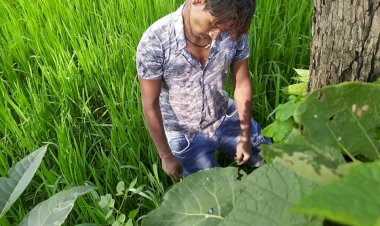 पचपेड़ी थाना क्षेत्र के दो अलग-अलग गांव में दो व्यक्तियों ने फांसी लगाकर दी जान दोनों ही घटना बीते रविवार रात्रि की पढ़े पूरी खबर