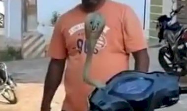 Video:  चलती स्कूटी से अचानक निकला कोबरा सांप, फिर जो हुआ….शख्स ने फिर इस गजब तरीके से उसे पकड़ा…देखे विडियो….