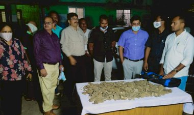 CG बिग न्यूज़ SI गिरफ़्तार : अत्यंत दुर्लभ प्रजाति का वन्यजीव पैंगोलिन की तस्करी....तस्करी का तरीक़ा जान हो जाएँगे हैरान….पेंगोलिन खाल का सौदा करते  पकड़ा गया वर्दी वाला तस्कर ,सब इंस्पेक्टर गिरफ्तार….