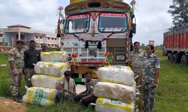 CG 680 किलो गांजा पकड़ाया: 34 लाख का अवैध गांजा परिवहन करते 2 आरोपी रंगे हाथ पकड़े गए.... पुलिस की बड़ी कार्यवाही.... 680 KG गांजा बरामद.....