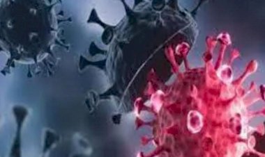 अमेरिका में मिला कोविड-19 का सबसे खतरनाकR.1 Variant, एक्सपर्ट्स ने दी ये चेतावनी पढ़े पूरी खबर