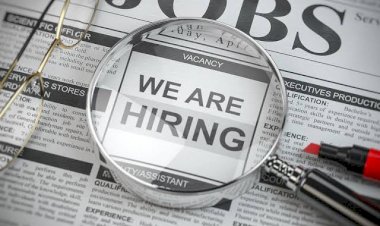 CG सरकारी नौकरी अलर्ट: 443 पदों पर सीधी भर्ती.... सैलरी 177500 तक.... ये है अंतिम तारीख.... जानें कैसे करें आवेदन..... देखें डिटेल......