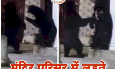 CG मंदिर परिसर में लड़ते नजर आए दो भालू VIDEO: मंदिर में आधी रात भालुओं ने मचाई धमाचौकड़ी.... कुछ इस अंदाज में करते रहे मस्ती.... फिर जो हुआ.... देखें भालुओं की मस्ती का VIDEO......