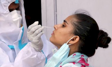 CG कोरोना ब्रेकिंग: मौतें 0.... दुर्ग और रायपुर के साथ-साथ आज सबसे ज्यादा मरीज यहां से.... इन 20 जिलों में आज एक भी मरीज नहीं…. इन 5 जिलों में एक्टिव मरीज नहीं.... आज मिले इतने नए मरीज.... देखें प्रदेश भर का हाल…....