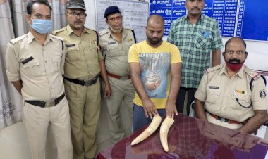 CG ब्रेकिंग: साड़ी में छिपाकर हाथी दांत की तस्करी.... लाखों रुपए के बेशकीमती दो नग हाथी दांत जप्त.... युवक ग्राहक तलाशने निकला था.... फिर जो हुआ.... तस्कर गिरफ्तार......