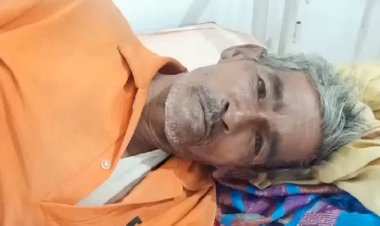 CG मालिक को संकट में देख भालू से भिड़ गया कुत्ता : मालिक की जान बचाने भालू से भिड़ गये 3 कुत्ते , इस तरह बचाई अपने मालिक की जान…आस पास के लोग 3 कुत्ते की तारीफ करते नहीं थक रहे…….