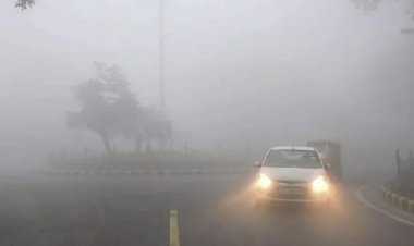 ठण्ड अलर्ट: मौसम में बदलाव शुरू, शाम व रात में ठंड का अहसास शुरू , इस वजह से बढ़ेगी ठण्ड.….छत्तीसगढ़, हिमाचल प्रदेश, पंजाब सहित इन राज्यों में जाने कैसा रहेगा मौसम... कश्मीर में बर्फबारी, जानें कब से पड़ेगी ठंड……