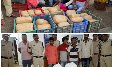 CG नशे के 4 सौदागर गिरफ्तार: सब्जी की खाली कैरेट में उड़ीसा से की जा रही थी गांजे की तस्करी... 51 किलों गांजा जब्त.... पुलिस की गांजा तस्करों के खिलाफ कार्यवाही......