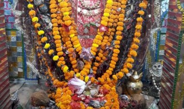 धनतेरस एवं दीपावली पर विशेष। रतनपुर में विराजित लखनी देवी की धनतेरस व दीपावली में होती है विशेष पूजा, होता है “महालक्ष्मी” का राजसी श्रृंगार ।