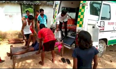 पेड़ से गिर कर घायल हुआ युवक..आई अंदरूनी चोट.. प्रथिमक इलाज के बाद डीमरापाल मेडिकल कॉलेज जगदलपुर रिफर..