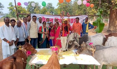 NAGRI : जय बरदेव बाबा गौठान समिति छिपली मैं गोवर्धन पूजा के अवसर पर विधायक लक्ष्मी ध्रुव ने खिलाई खिचड़ी..